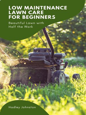 cover image of Low Maintenance Lawn Care for Beginners